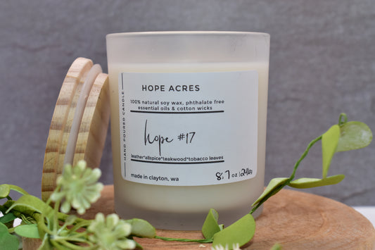 hope #17  Woody/365 leather*allspice*teakwood*tabaco leaves -  Soy Candle