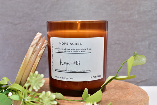 hope #13 Fruity/Summer orange*mango*grapefruit*peach*cedar - Soy Candle