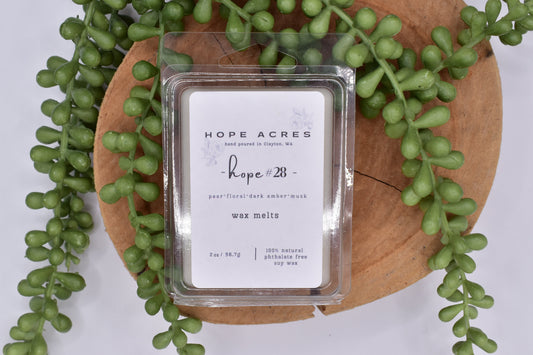 hope #28 Bright/Fruity pear*agave*rose*marine*cherry blossom*dark musk - Wax Melts 2oz